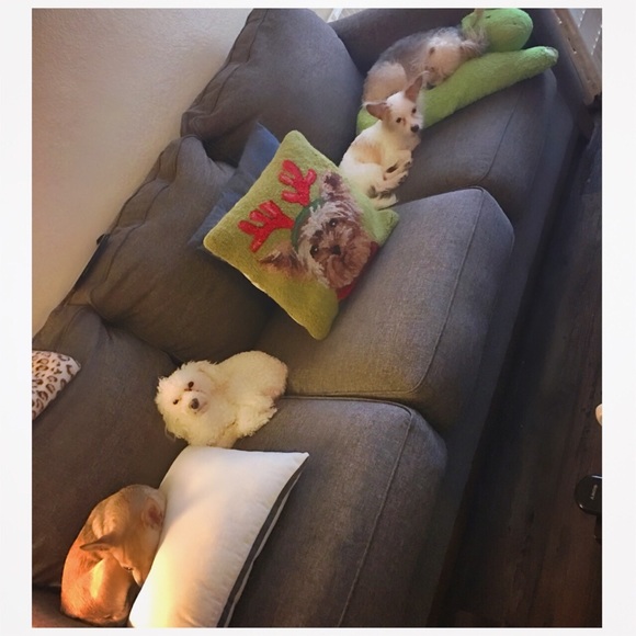 Meet your Posher, Maryann - Picture 3 of 5